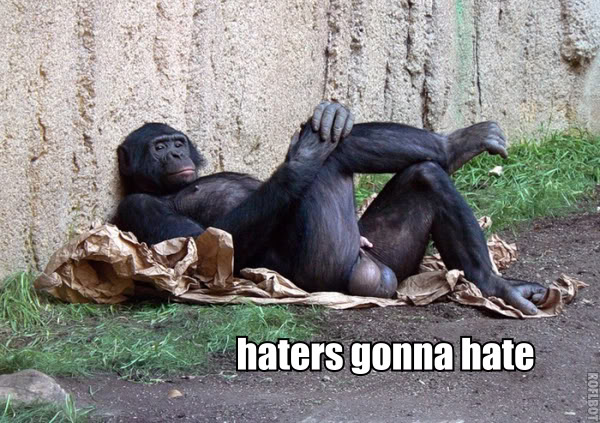 image: 232338-haters-gonna-hate-haters-gonna-hate-monkey-big-balls