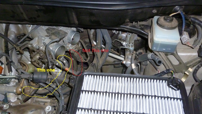 RX 300 Coolant Leak Driver Side Rear - Club Lexus Forums