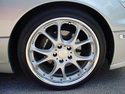 WTB: Calipers stickers-dsc01068.jpg