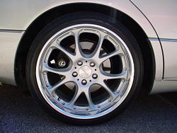 WTB: Calipers stickers-dsc01071.jpg