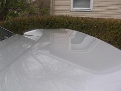 FT or FS: OEM Spoiler (silver)-spoiler-4.jpg