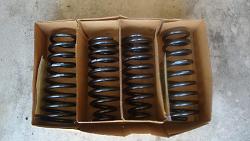 Eibach Pro-Kit Lowering Springs-dsc01650.jpg