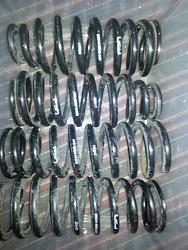 l-tuned springs-010.jpg