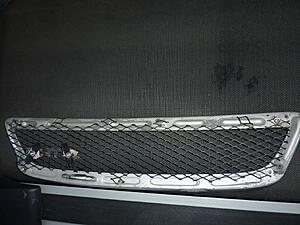 Fs L sportline grill-jrfedmd.jpg