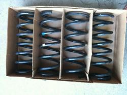 FS IS parts-coil-springs.jpg