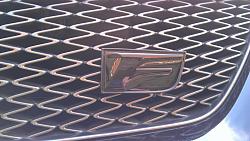 Custom Black Pearl Emblems IS-F-imag0352.jpg