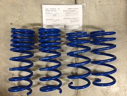 NEW Lexus F-Sport Springs-img_0044.jpg