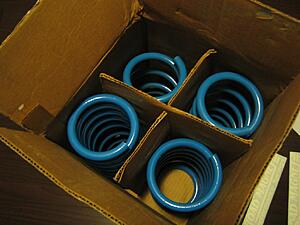 BNIB Road Magnet AWD lowering springs-gbcha.jpg