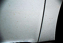 F Sport Ultra White - Rail Dust Paint Issues-rail_dust.jpg