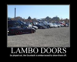 Lambo door...-motivator3091873.jpg