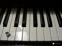 (((PIC of my Keys))) ~ let's see yours!!!-piano4-1024.jpg