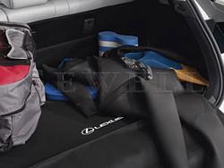 Floor Mats-ct200h-cargo-liner-picture.jpg