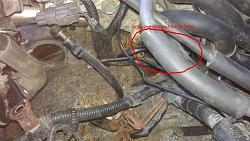 Upper trans to engine bolts...How do you get at them?-bolt-area-on-old-trans.jpg