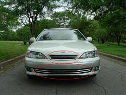 new grille opinion for el gatos es-es.jpg