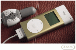 iPod for my '94 ES300-itrip.gif