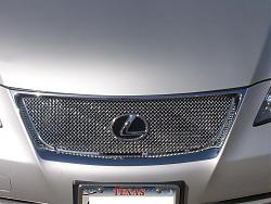 Does anyone have a mesh grille-img_2010-1.jpg