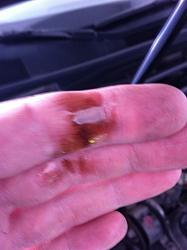 Oil leak, HELP, (pictures provided).-image.jpg