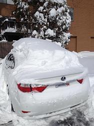 How Is This Car In Snow! (merged threads)-603920_10200092307363875_26171546_n.jpg