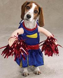 Who Did You Blow Away Today Or Vice Versa-dog-costume-10.jpg