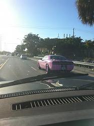 Florida Fail Thread-pink.jpg