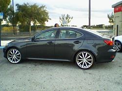 Florida members photo gallery-lexus83.jpg