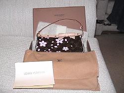 Louis Vuitton hand bag - must see!!-lv-1.jpg