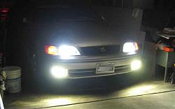 my new fogs and lows-img_5327b.jpg