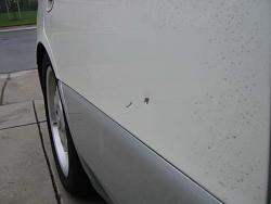 string of bad luck  ** pics **-dent1.jpg