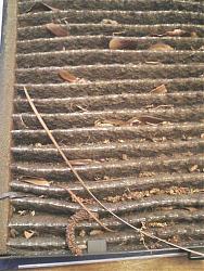 Air cabin filter YUCK with pics-2535862773_orig.jpg