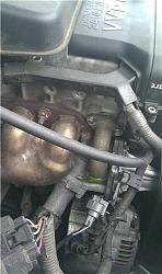 Coolant Leak, Need help identifying seal-lexus1.jpg