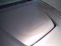 Lexus Logo on HOOD !?-hoodlogo.jpg