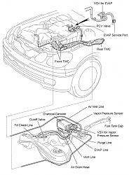 98 GS300 P0441 &amp; P0446  W/(Pic)-2000-lexus-gs300_evap-parts-layout.jpg