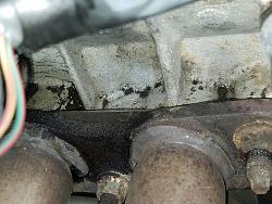 Help! Another Oil Leak Post!-4.jpg