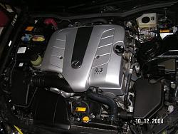 cleaned up my engine bay-reduced-eng.jpg