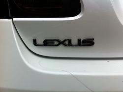 Painted Lexus Emblems today. How do they look?-photo-2.jpg