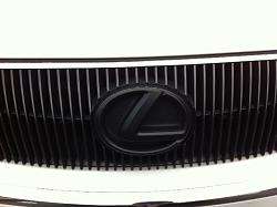 Painted Lexus Emblems today. How do they look?-photo-5.jpg