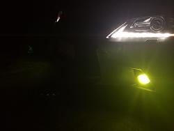 Got My LED Yellow Fogs!-photo-4.jpg