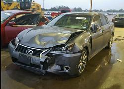 Hit a deer-photo187.jpg