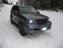 GX Playing in Snow. WA State. Pics-lex2.jpg