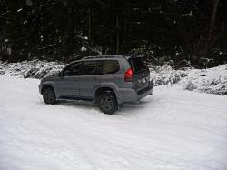 GX Playing in Snow. WA State. Pics-lex3.jpg