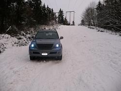 GX Playing in Snow. WA State. Pics-lex4.jpg