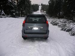 GX Playing in Snow. WA State. Pics-lex7.jpg