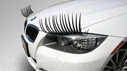 GX470 questions mean look ???-lashes.jpg