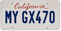 My New License Plate-license.jpg