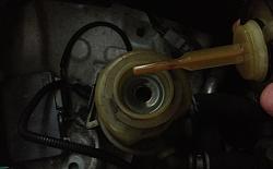 Power Steering fluid?-img_7767.jpg