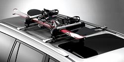 All Weather floor mats and other accessories?-ski_rack_1.jpg
