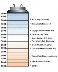 New Sylvania zxe Silver stars-kelvin-scale.jpg