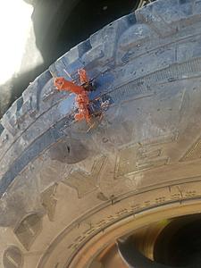 Off Roading-3.jpg