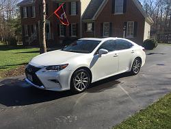 2016 ES300h  with ultra luxury-img_7823.jpg