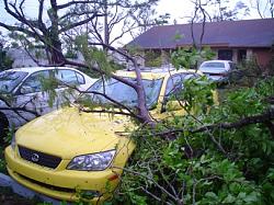 Yellow IS300 what was the last year-wilma-damage-to-hikaru-4.1.jpg